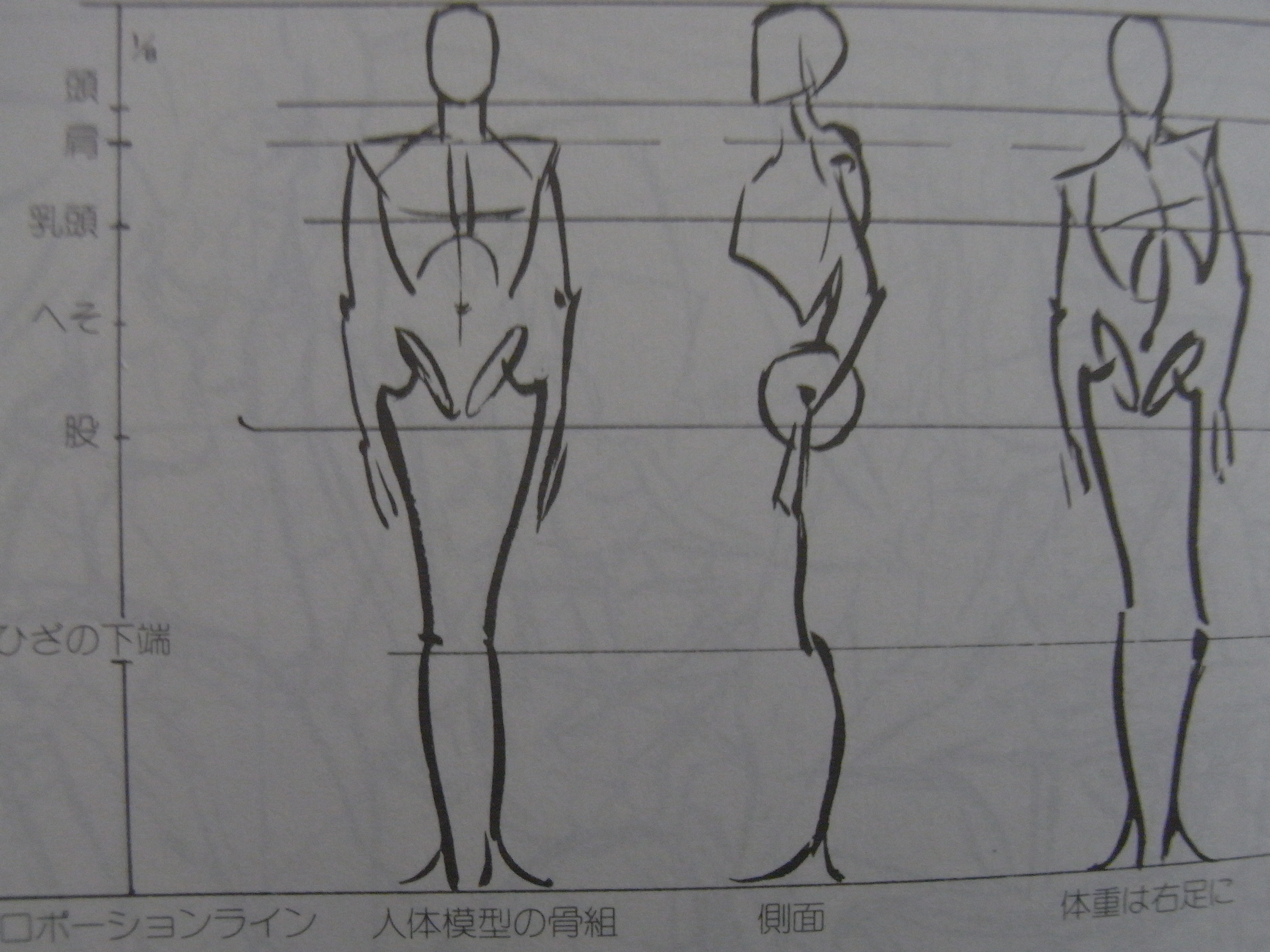 全身画を描くためにはまず骨格から 認識違いをなくそう まったりお悩み解決ノート