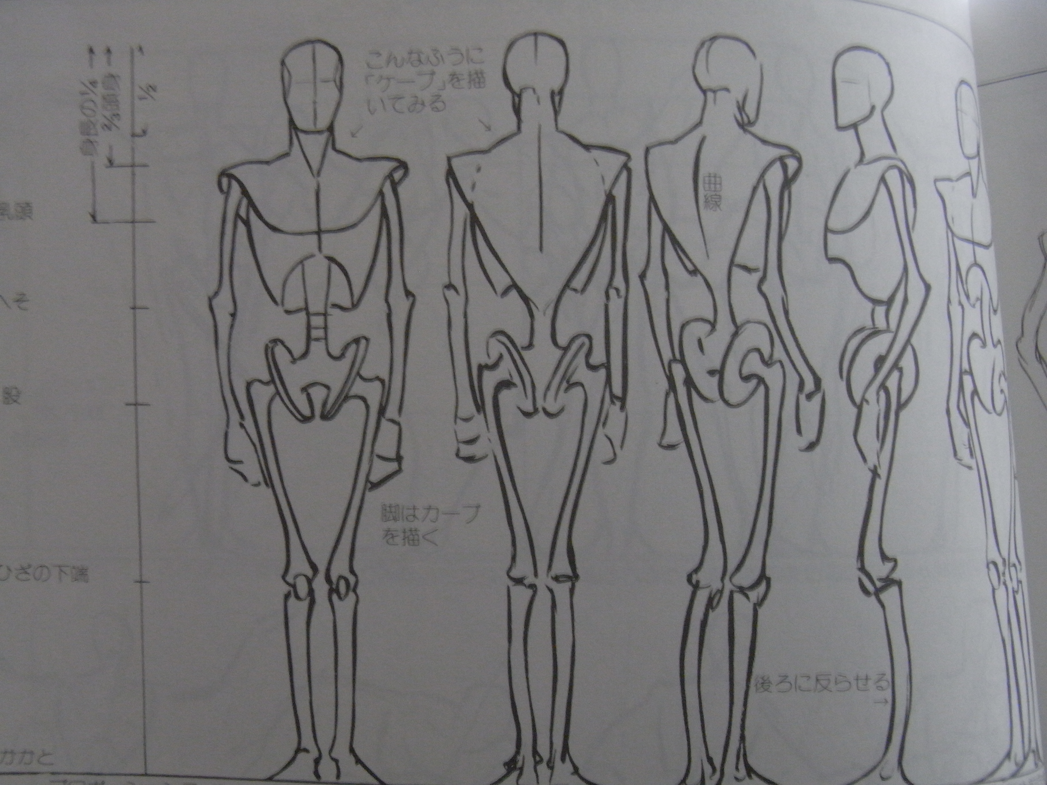 人体模型の骨格を描く練習は意味があるの まったりお悩み解決ノート