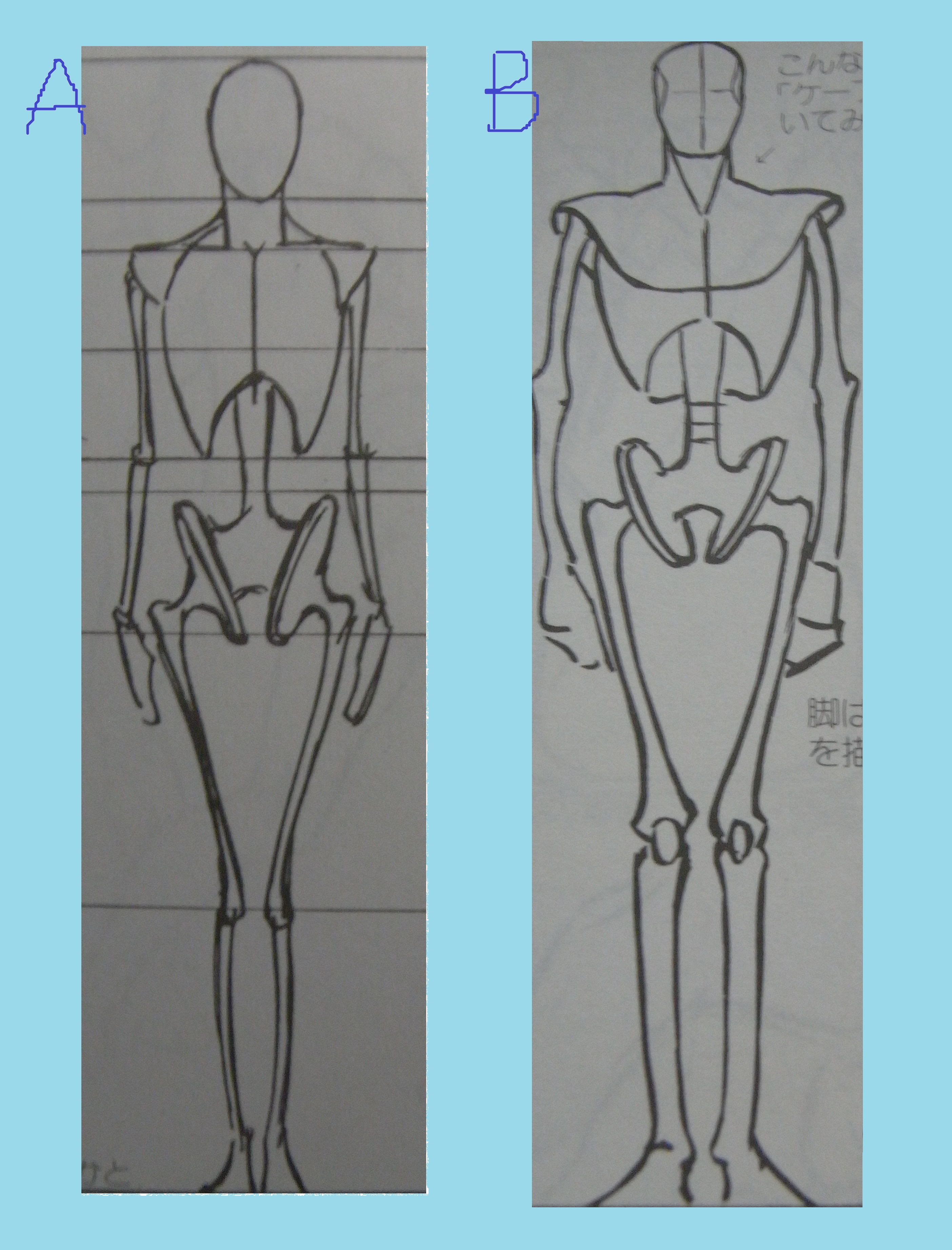男女の人体模型の比較と女性の身体の描き方のコツ まったりお悩み解決ノート